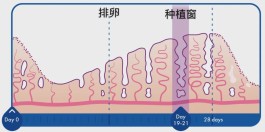 試管種植窗怎么檢測 這3種方法比較常見